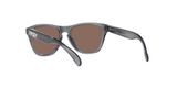 slnečné okuliare OAKLEY JUNIOR FROGSKINS XXS OJ9009 900902