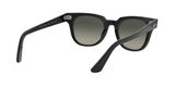 slnečné okuliare Ray-Ban RB2168 METEOR 901/71