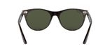 slnečné okuliare Ray-Ban RB2185 WAYFARER II 902/31