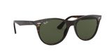 slnečné okuliare Ray-Ban RB2185 WAYFARER II 902/31