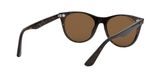 slnečné okuliare Ray-Ban RB2185 WAYFARER II 901/57