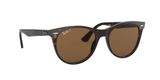 slnečné okuliare Ray-Ban RB2185 WAYFARER II 901/57