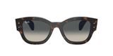 slnečné okuliare Ray-Ban RB7681S 140171 Jorge