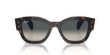 slnečné okuliare Ray-Ban RB7681S 140171 Jorge