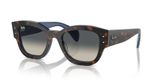 slnečné okuliare Ray-Ban RB7681S 140171 Jorge